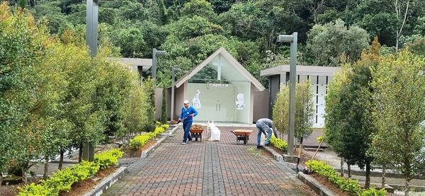 TRABAJOS DE LIMPIEZA Y MANTENIMIENTO DE JARDINERÍA DEL CAMPOSANTO